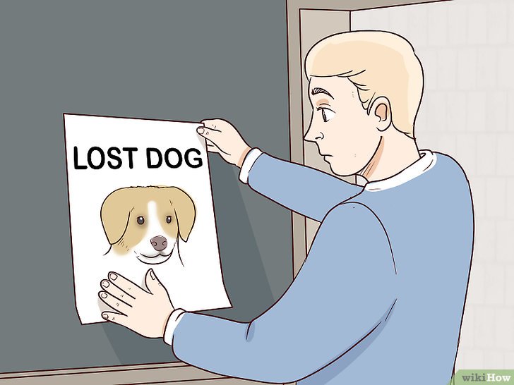 Tips Untuk Mencari Anjing Yang Hilang